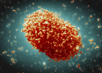 OMS declara emergencia internacional por brote de viruela del mono