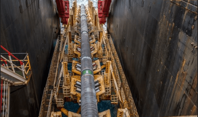 Proyecto de gasoducto pone en riesgo el Corredor Arrecifal del Suroeste del Golfo de México