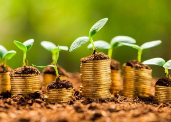 Crisis económica pone a prueba emisión de bonos verdes en el mundo