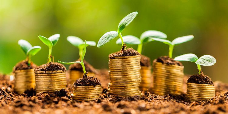 Crisis económica pone a prueba emisión de bonos verdes en el mundo