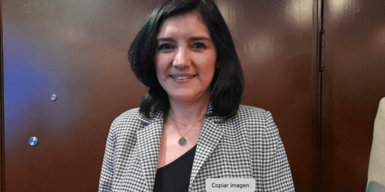 México es líder mundial en instalaciones de calor solar, un aliado para la descarbonización