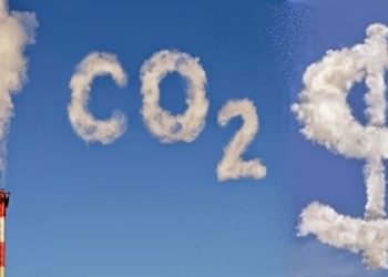 MÉXICO2 anuncia la creación de la Asociación Mexicana de Carbono
