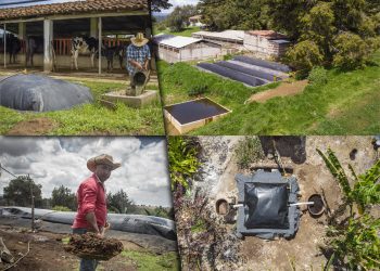 Biodigestores, un camino que ayuda a reducir los efectos del cambio climático