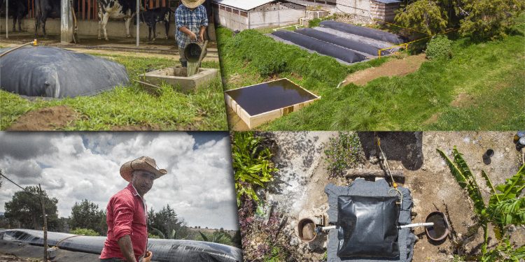 Biodigestores, un camino que ayuda a reducir los efectos del cambio climático