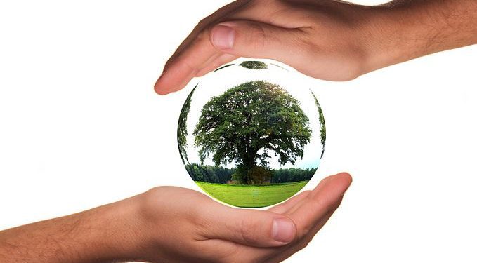 México, con capacidad de establecer una reducción de emisiones más ambiciosa: Iniciativa Climática de México