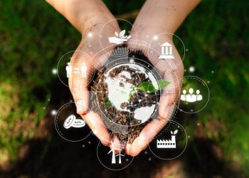 Procesos productivos deben transitar hacia una cadena de valor más sostenible