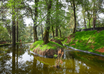Cuatro planes ideales para un picnic, que te harán salir de la rutina