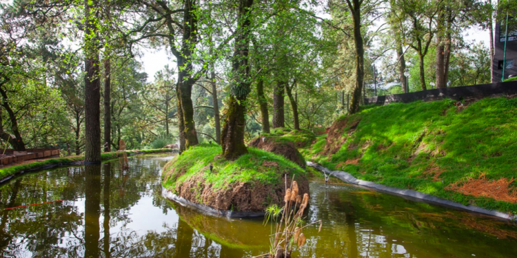 Cuatro planes ideales para un picnic, que te harán salir de la rutina