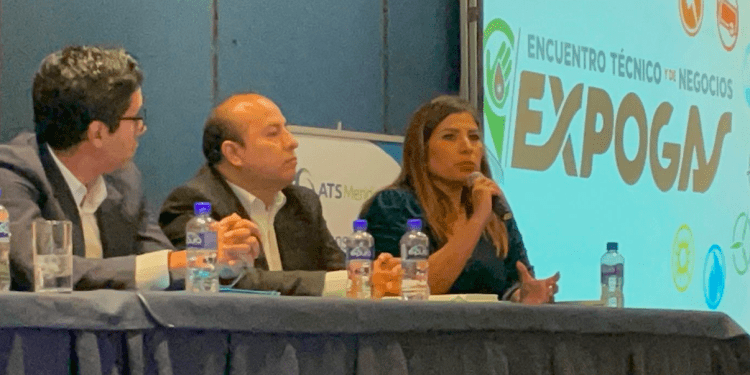 Las 9 causales de inmovilización de Profeco a estaciones de servicio