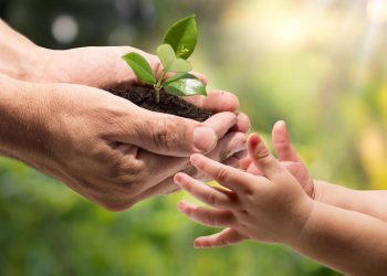 Faurecia y Humanife inauguran invernadero de Refauresta