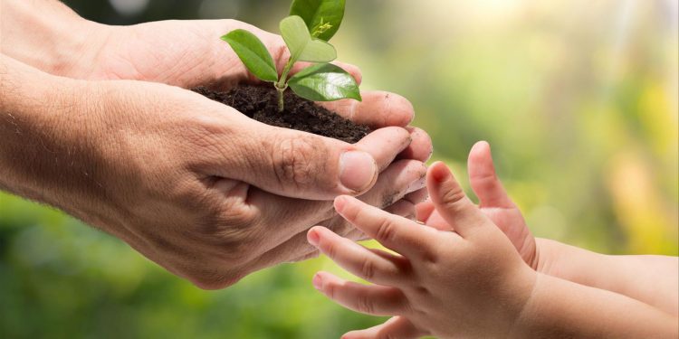 Faurecia y Humanife inauguran invernadero de Refauresta