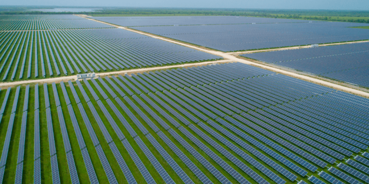 Planta Solar «La Pimienta»  de Atlas Renewable Energy, la segunda más grande de México en operación
