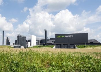 Shell adquirirá productor de gas natural renovable Nature Energy