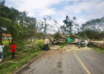 Frente frío 19 afecta Tamaulipas, San Luis Potosí y Veracruz; CFE trabaja en el restablecimiento del servicio eléctrico