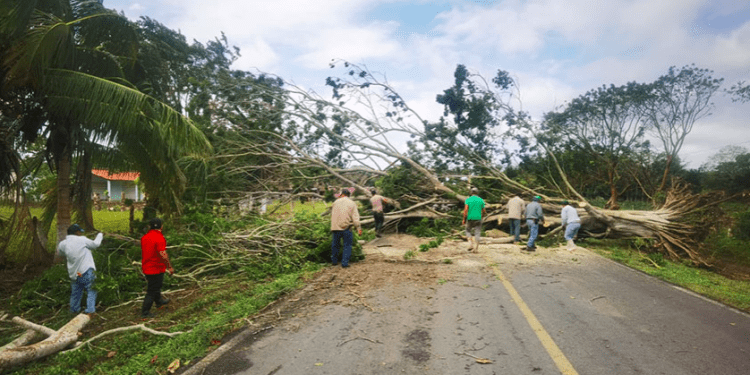 Frente frío 19 afecta Tamaulipas, San Luis Potosí y Veracruz; CFE trabaja en el restablecimiento del servicio eléctrico