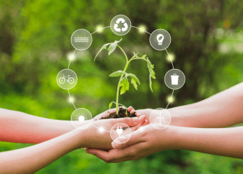 12 propósitos sustentables para aplicar durante todo el 2023