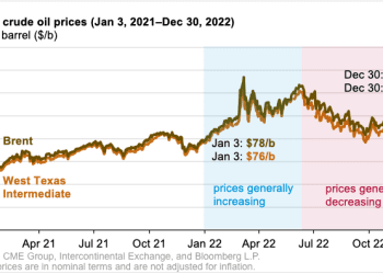 Precio del petróleo en 2022: primera mitad del año alza, segunda mitad a la baja