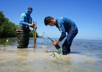 BID Invest aportará hasta 50 mdd a fondo para la adaptación al cambio climático