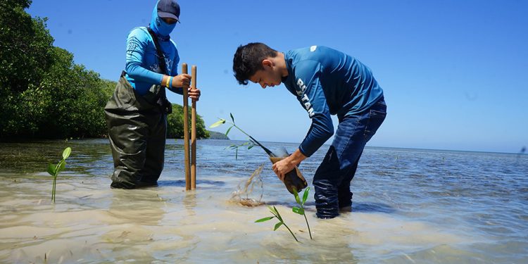 BID Invest aportará hasta 50 mdd a fondo para la adaptación al cambio climático