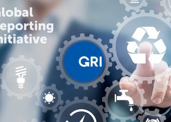 Decálogo para elaborar un Informe de Sostenibilidad nivel Global Reporting Initiative (GRI)