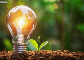 Sostenibilidad, un factor de decisión de compra de los consumidores: Samy Alliance