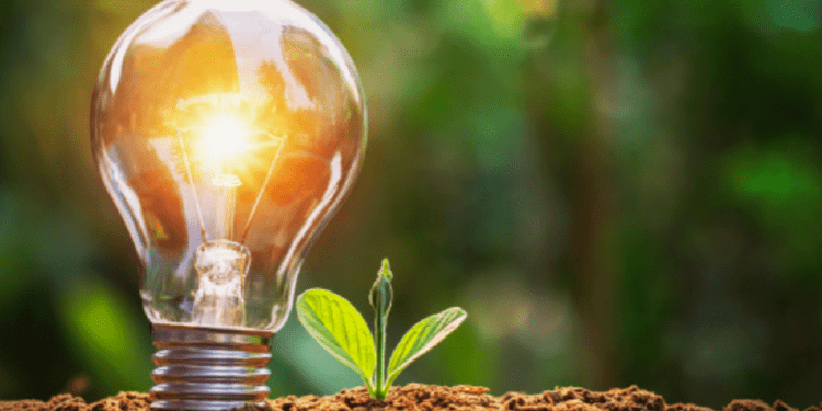 Sostenibilidad, un factor de decisión de compra de los consumidores: Samy Alliance