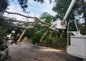 CFE restablece servicio eléctrico en 4 estados impactados por fenómenos meteorológicos; más de 489 mil usuarios afectados