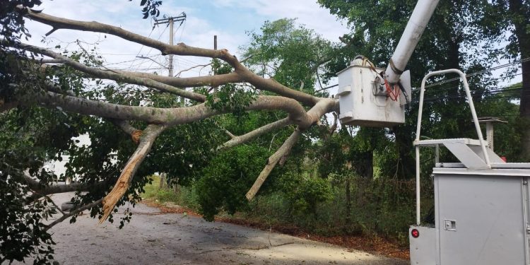 CFE restablece servicio eléctrico en 4 estados impactados por fenómenos meteorológicos; más de 489 mil usuarios afectados