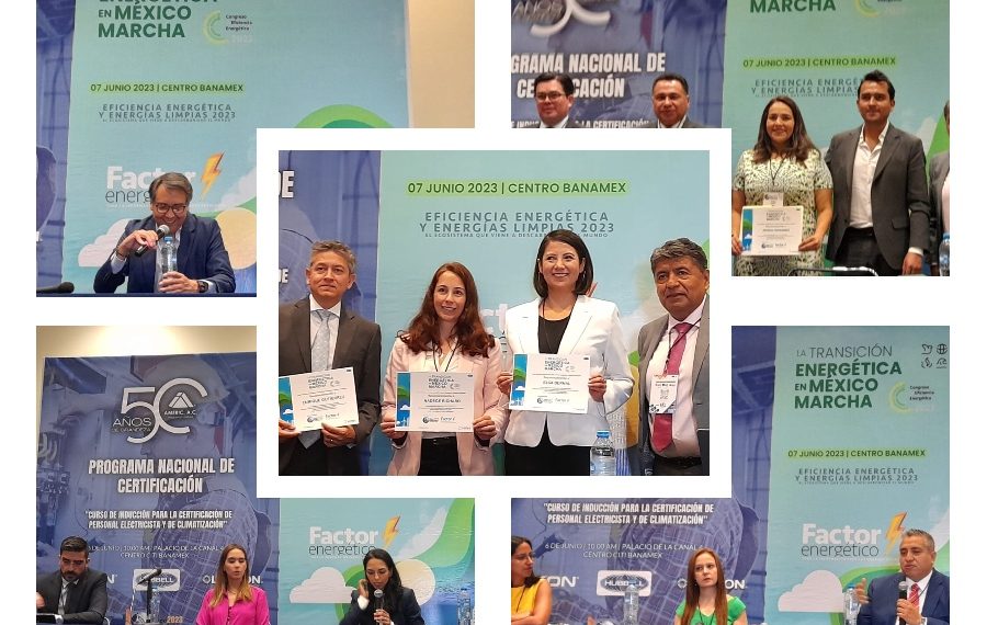 Pese a limitaciones, avanza lentamente transición energética y la descarbonización: CEE2023