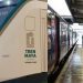 Tren Maya utilizará diésel ecológico