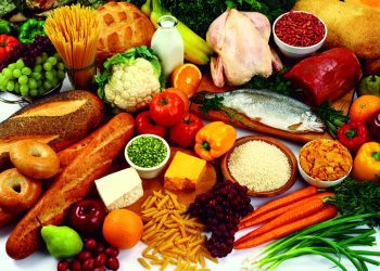 Plato del Bien Comer: agua esencial en la dieta recomendada