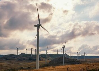 Energía eólica se posiciona como agente transformador en la descarbonización de las economías