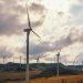 Energía eólica se posiciona como agente transformador en la descarbonización de las economías
