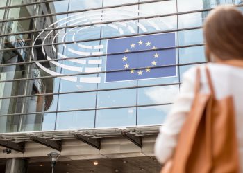 12 normas europeas de información sobre sostenibilidad se aplicarán a empresas a partir de  2024