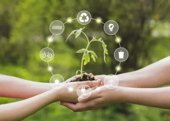 La sostenibilidad: Rompiendo los paradigmas de los mercados tradicionales