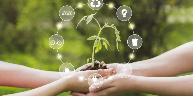 La sostenibilidad: Rompiendo los paradigmas de los mercados tradicionales
