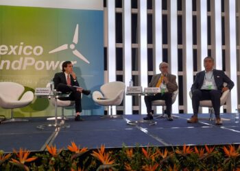 Código de Red sigue vetado por el Poder Judicial; operadores del CENACE le temen a los abogados: Ricardo Mota