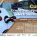 CURSO: Ecosistemas para la electromovilidad