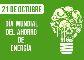 Día Mundial del Ahorro de Energía: 5 consejos para un futuro Sostenible