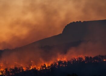Bloomberg y Riskthinking.AI lanzan indicadores de riesgo físico para revelar fenómenos climáticos graves