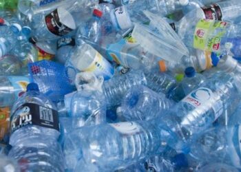 Fundación Ellen MacArthur reporta avances en lucha contra los residuos plásticos