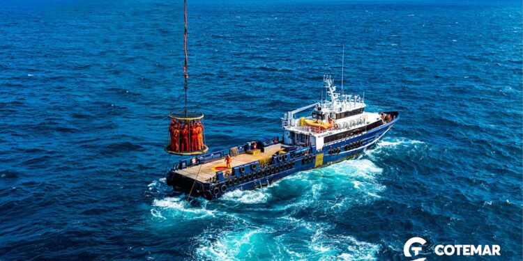 Cotemar recibe la Certificación Achilles, por octavo año consecutivo