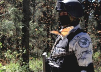 Guardia Nacional participará en tareas de inspección y vigilancia ambiental