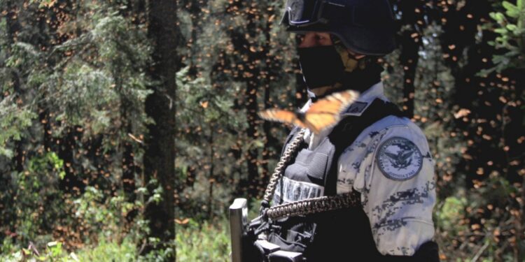 Guardia Nacional participará en tareas de inspección y vigilancia ambiental