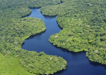 Coalición Verde de bancos públicos de desarrollo buscará 20,000 mdd para el desarrollo sostenible de la Amazonía