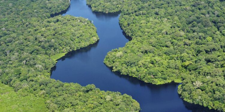 Coalición Verde de bancos públicos de desarrollo buscará 20,000 mdd para el desarrollo sostenible de la Amazonía