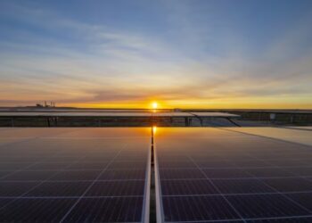 BP Plc comprar el total de Lightsource BP, faltaba adquirir el 50.3%