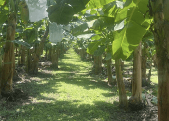 #PorNuestroCampo pide blindar el campo contra el cambio climático y la inseguridad