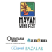 Mayan Wind Fest 2024   Tres días de competición, música y diversión