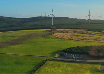 Amazon mayor comprador corporativo de energía renovable; invirtió en más de 100 nuevos proyectos de energía solar y eólica en 2023